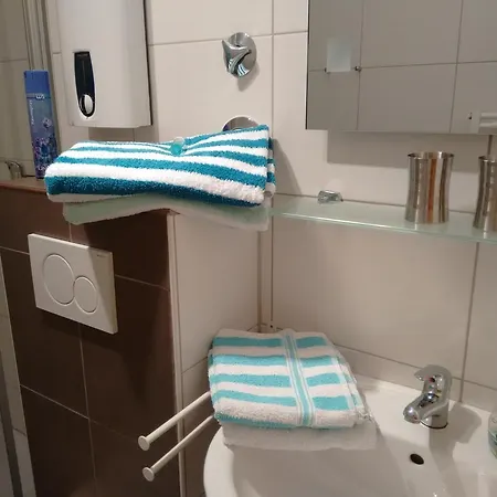 Apartment Ricken House La Rose *
